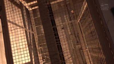 FUS896-DKKOUYGXUE761591996 - upornia.com - Japan