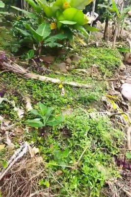 No Deboo Seguir Acompanando Al Pervertido De Mi Amigo ! Dios Solo Espero Nadie Vea El Video. 7 Min - upornia.com