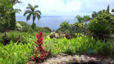 Virtual Vacation In Hawaii With Moka Mora Part 5 - hotmovs.com - Usa