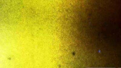 TRANSVR The Loveliest View - drtvid.com