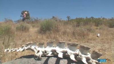 They Got This Blonde Bitches Bag So She Ended Up In A Wild Desert Orgy - upornia.com