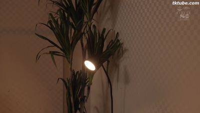 877HTRJKTYGRETEVGWRHSSIS - upornia.com