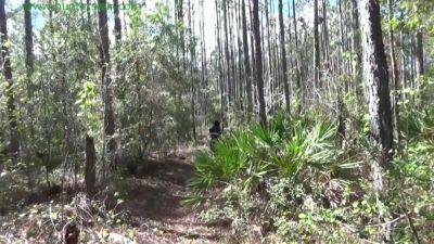 Lost In The Woods - hotmovs.com