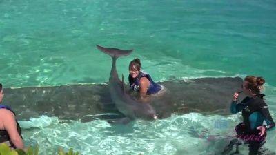 Cassidy Makes A Big Splash On Your Last Day In Hawaii - hclips.com