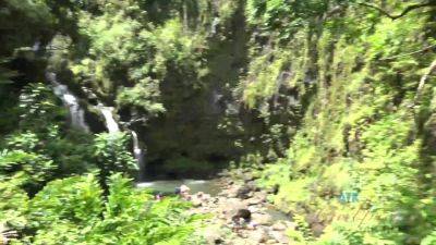 Virtual Vacation Hawaii With Nina Nirvana 8/11 - hotmovs.com - Usa