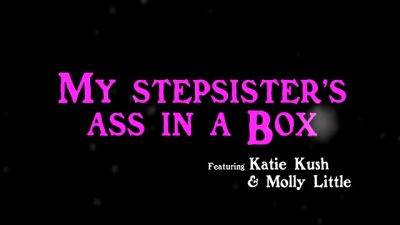 My Stepsisters Ass In A Box - S25:E6 - Brattysis - hotmovs.com