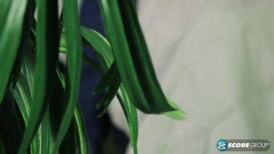 Amanda Verhooks In Black Cock Ass Slut - hotmovs.com