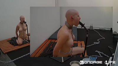 Livecam 01-23-2018 Ritual - hclips.com