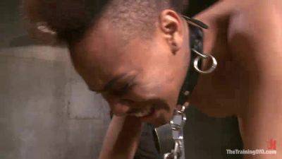 The Training Of Nikki Darling, Day Two - Kink - hotmovs.com