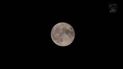 PSA691-ZOVZLBXDMC858291487 - upornia.com - Japan