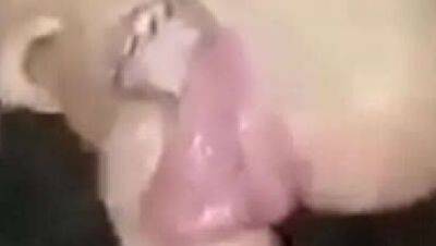 New - Eldiferentexx and Julii Rous in Hardcore Ebony Ass Fuck and Suck Session - xxxfiles.com