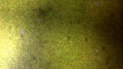 GROOBY CLUB Updates 1st Nov 24 - drtvid.com