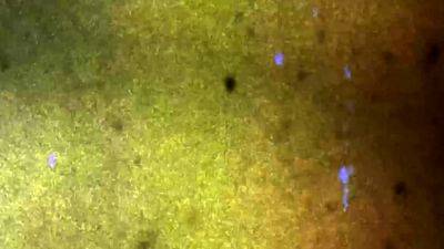 GROOBY ARCHIVES A Lazy Afternoon with Alice - drtvid.com