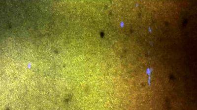 ASIANTGIRL Petite Perfection - drtvid.com