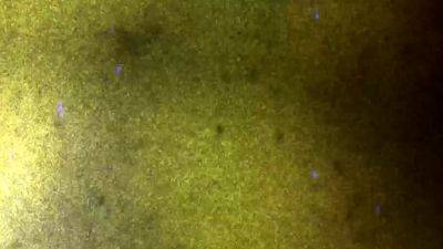 FEMOUT XXX Updates 1st Nov 24 - drtvid.com