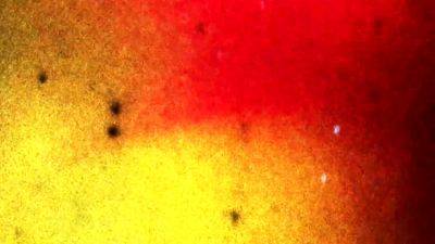 BOBSTGIRLS Xmas Special Dayanna Vidal - drtvid.com