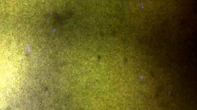 FEMOUT XXX I ve Got The Bug - drtvid.com