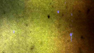 FEMOUT XXX Worship My Big Butt - drtvid.com