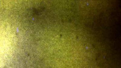 FEMOUT XXX Loving Honey Luv - drtvid.com