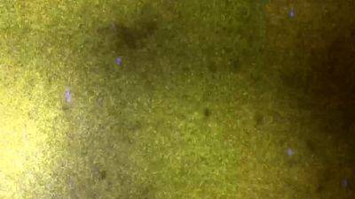 GROOBYGIRLS Sexy Seanna Tate - drtvid.com