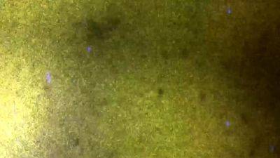 TGIRLPOSTOP The Red Shoes Diary - drtvid.com