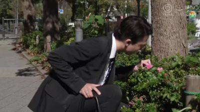 0008435_NTR ドラッグ 背徳などが含まれている - hotmovs.com - Japan