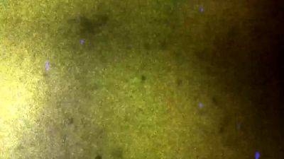 GROOBY CLUB Updates 17th Jan 25 - drtvid.com