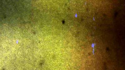 ASIANTGIRL Ticha s Fiery Encore - drtvid.com