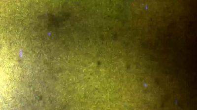 GROOBY ARCHIVES Bruna Ciganinha Xmas Treat - drtvid.com