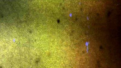 ASIANTGIRL Nang s New Blonde Look - drtvid.com