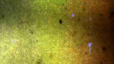 GROOBY ARCHIVES Jill Pill Xmas Special - drtvid.com