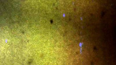 FEMOUT XXX Vika Silver Outfit - drtvid.com