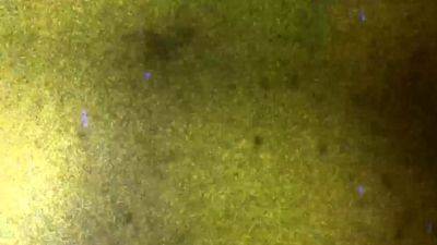 GROOBY ARCHIVES Xmas Special Cloudy Vi - drtvid.com