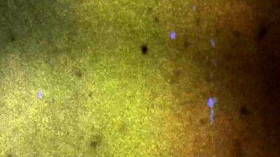 FEMOUT XXX The Maxima Orgasm - drtvid.com