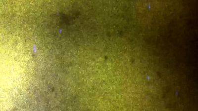 FEMOUT XXX Jayde Play It Sexy - drtvid.com