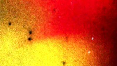 GROOBYGIRLS THE Avery Lust - drtvid.com