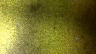 FEMOUT XXX Introducing Alyx - drtvid.com