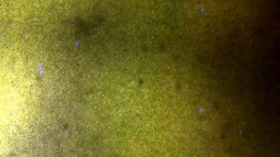 FEMOUT XXX Debuting Camille Leon - drtvid.com