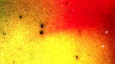 GROOBYVR Spinning Antonella - drtvid.com