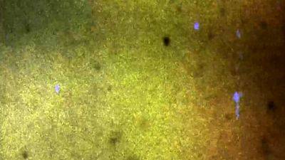 FEMOUT XXX I m Feeling Vika - drtvid.com