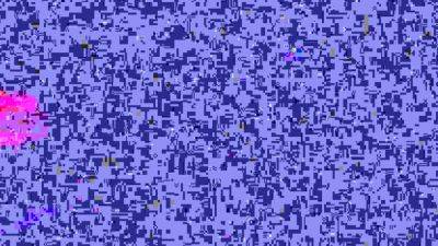 JOEYSTRANSFEETGIRLS Variety Itsol - drtvid.com