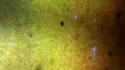 GROOBY ARCHIVES A Very Naughty Girl - drtvid.com