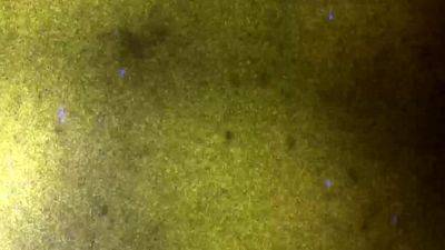 FEMOUT XXX Naomi Rose s Playtime - drtvid.com