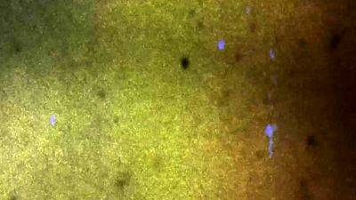 TGIRLBBW Sexing Up Nita - drtvid.com