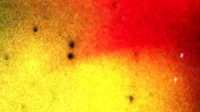 Grooby VR Babi I m Home - drtvid.com