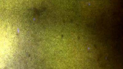 FEMOUT XXX Introducing Jayde - drtvid.com