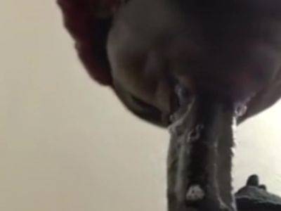 Close Up Super Hot Super Sloppy Deepthroat Blowjob,cum In Mouth - desi-porntube.com