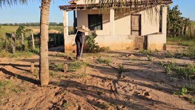 I Saw My Neighbor Win Yard In The Hot Sun And That Made Me Really Horny - hotmovs.com - Brazil