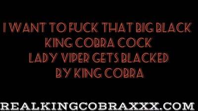 Young Slut Gets Blacked By - King Cobra, Snow Bunny And Lady Viper - hotmovs.com - Usa