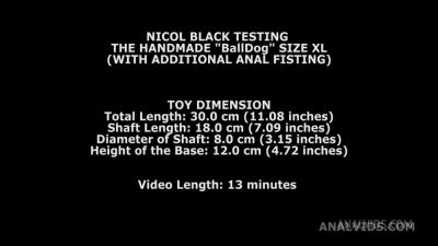 Nicol Black Testing The Handmade Balldog Size XL (With Additional - hotmovs.com